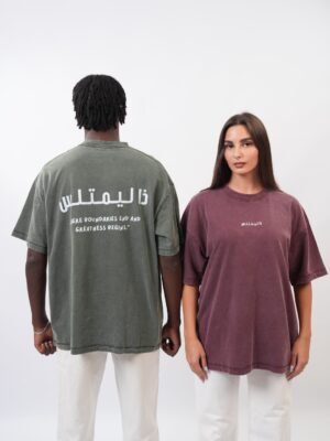 ذا ليمتلس WASHED TEE
