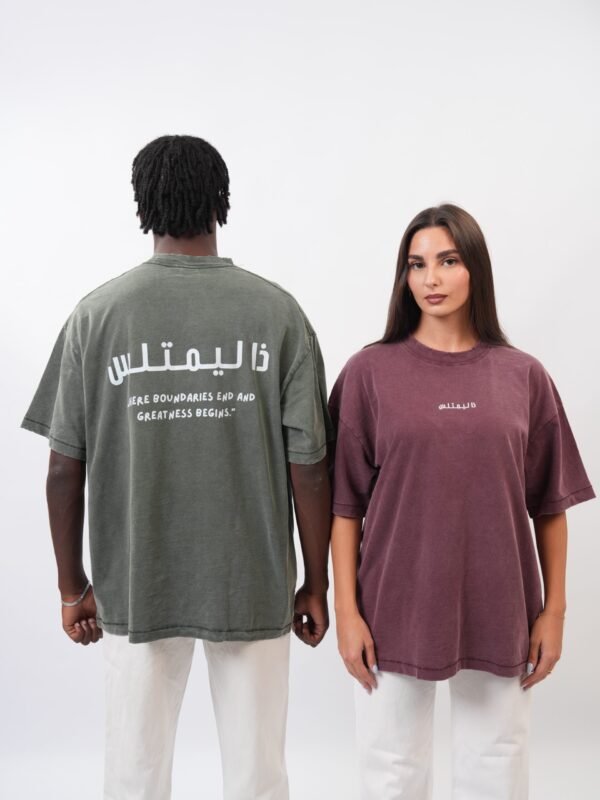 ذا ليمتلس WASHED TEE